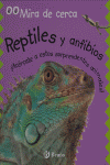 REPTILES Y ANFIBIOS