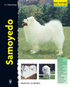 SAMOYEDO RAZA DE PERROS